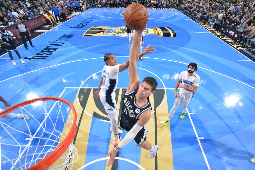 他们期待在 他们期待在