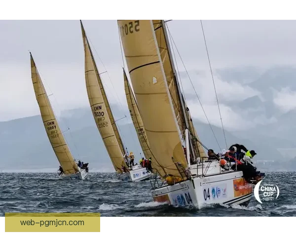 全球挑战帆船大奖赛：风帆翱翔，波涛逐梦