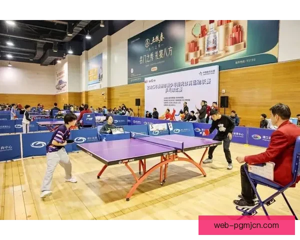 乒乓球训练新思路：技战术训练提升，全面提高球员竞技实力