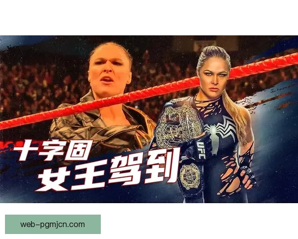 世界排球巅峰对决：争霸之路