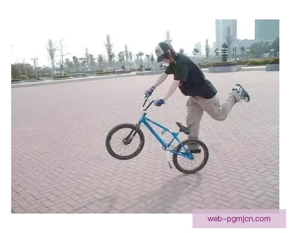 BMX世界纪录：速度与技艺的极限挑战