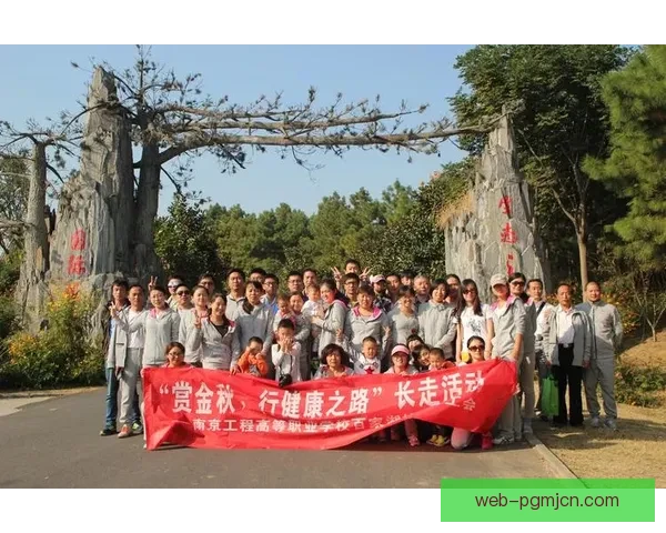 健身对战分析：挑战自我，比拼强度，探索健康之路