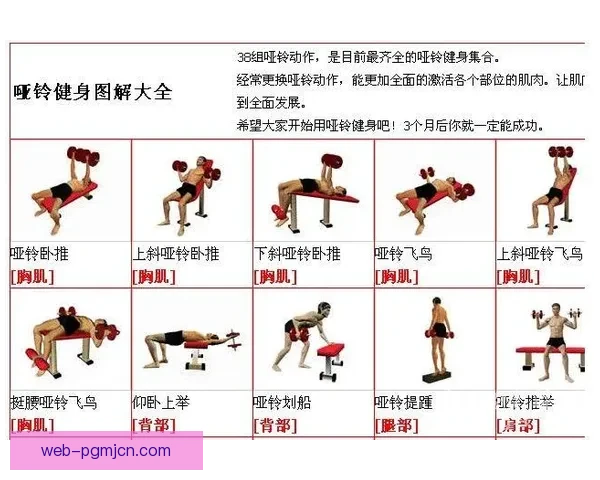 健身规则：打造完美身材的全面指南