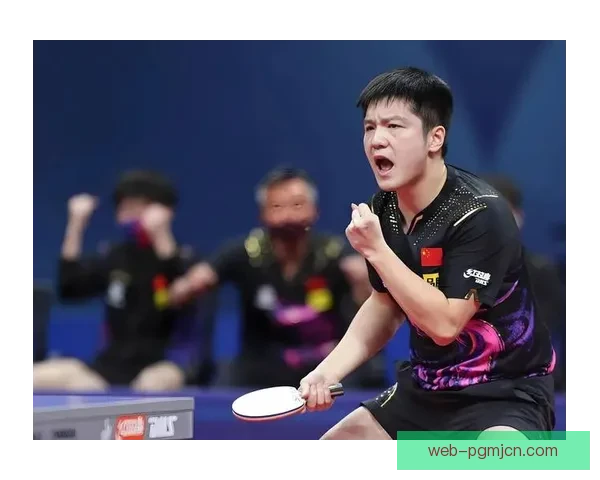 乒乓球排名的重要性及其影响因素分析