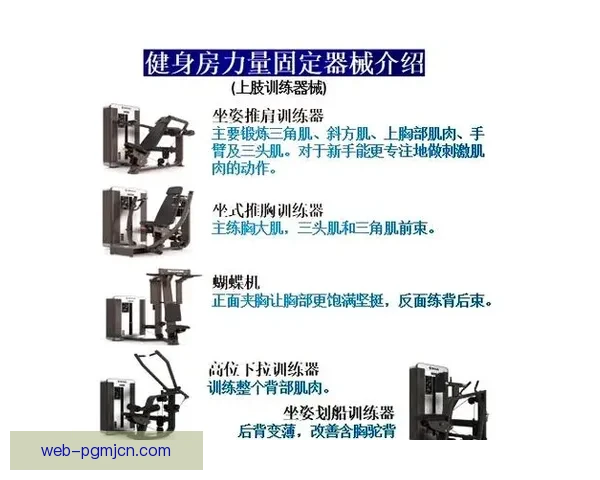 健身投注技巧解析与实战指南