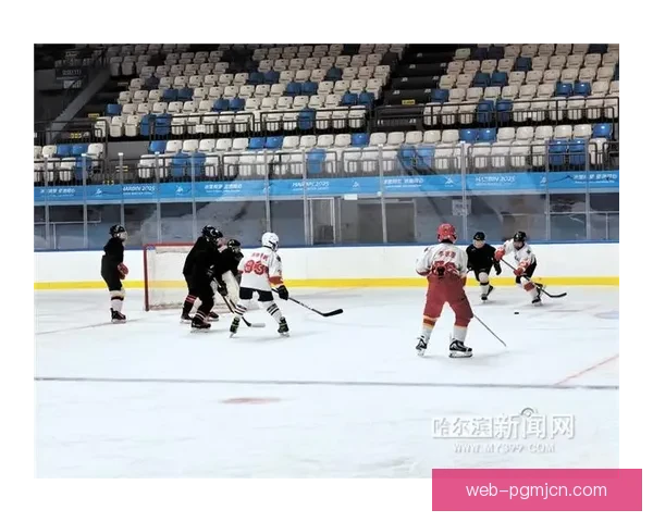 冰球公开赛：冰上激战，热血飞扬