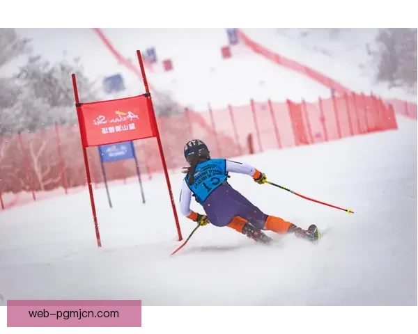 冰雪飞扬 欢乐竞技 精彩滑雪公开赛 冰雪飞扬 欢乐竞技 精彩滑雪公开赛