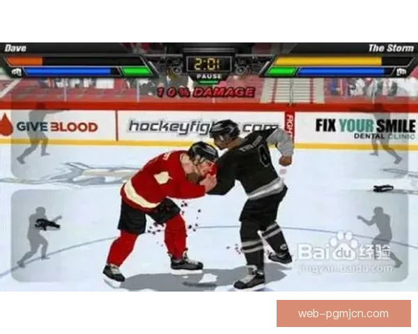 冰球对战策略分析及技巧分享