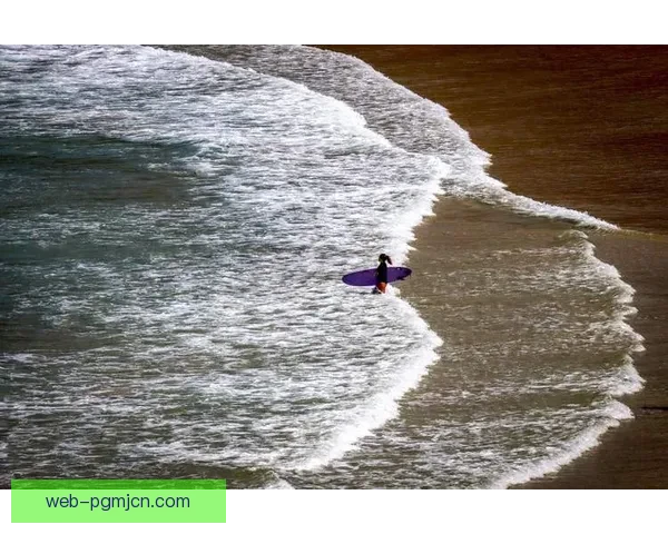 冲浪爱好者必知的入门技巧与注意事项