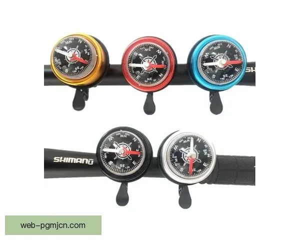 学习山地车技术的完整指南