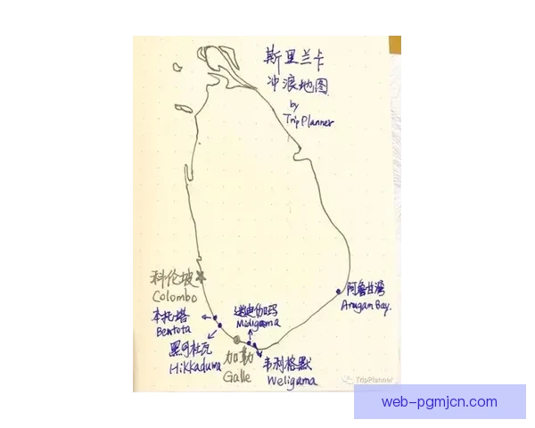学会冲浪：初学者的完整入门指南