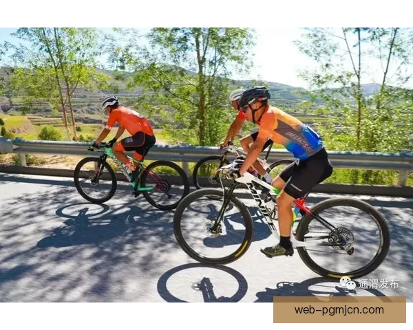 山地车世界纪录：速度与激情展现无限可能