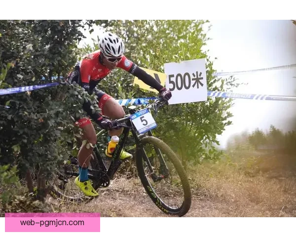 山地车积分榜争霸：谁能登顶巅峰？