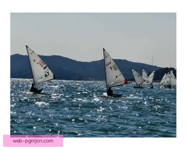 帆船积分榜：竞逐风浪，掌握胜负