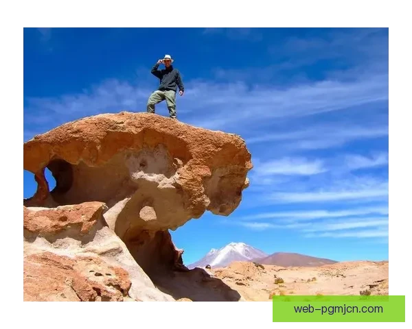 征服高峰：挑战极限，突破自我