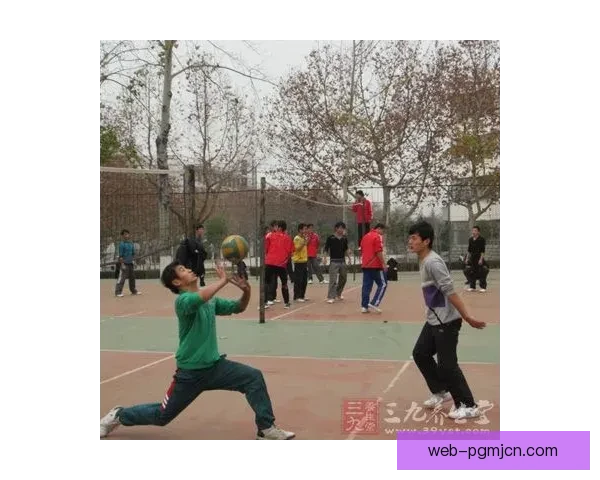 排球初学者必知的技巧和规则