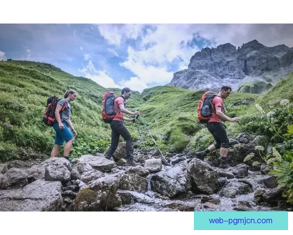 攀岩数据分析：探寻攀登者的心理、技术与挑战