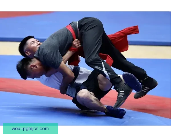 摔跤规则解析与应用技巧总结