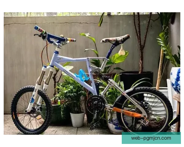 极限BMX：挑战高难技巧，尽显骑行魅力