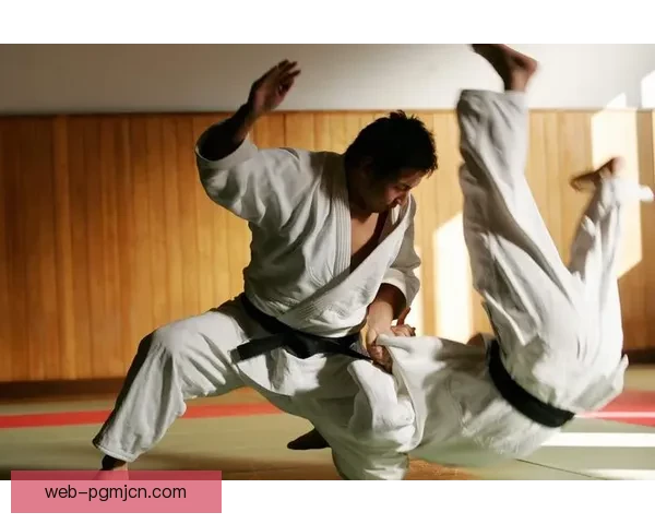 柔道规则解读及实战技巧分享