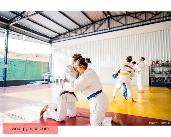 柔道之光：揭秘传统与现代融合的历史传承