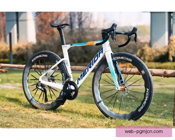 最新自行车排名及骑行趋势报告