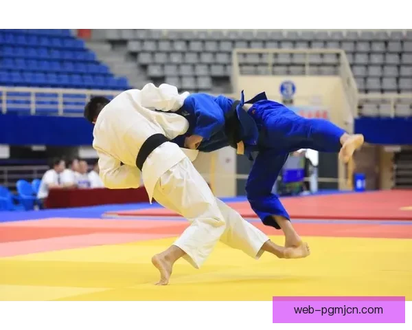 柔道锦标赛：斗智斗勇，搏出精彩
