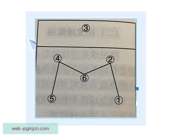 深度解析排球技巧：攻防变化与战术运用