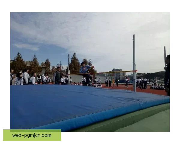 绽放激情的拼搏：摔跤锦标赛掠影