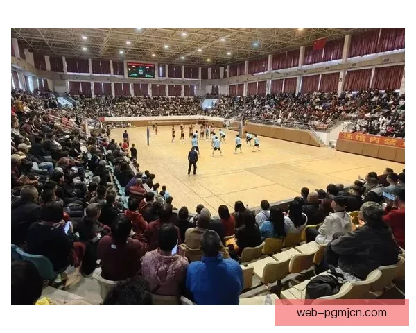 纵横排球赛场：挑战精彩，荣耀绽放