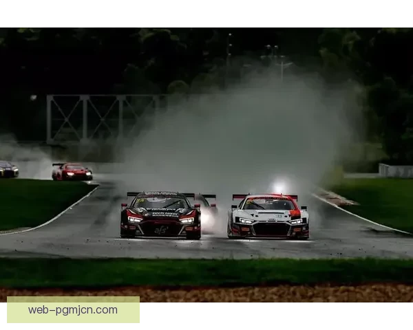 速度与激情：挑战赛车杯赛巅峰