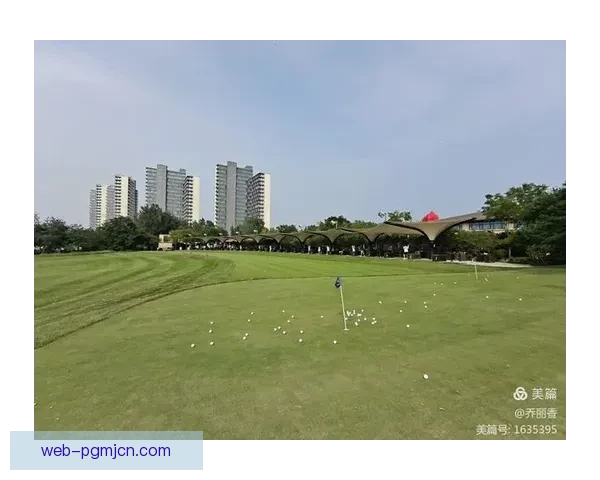 高尔夫世界纪录大揭秘：风靡球场的惊人壮举